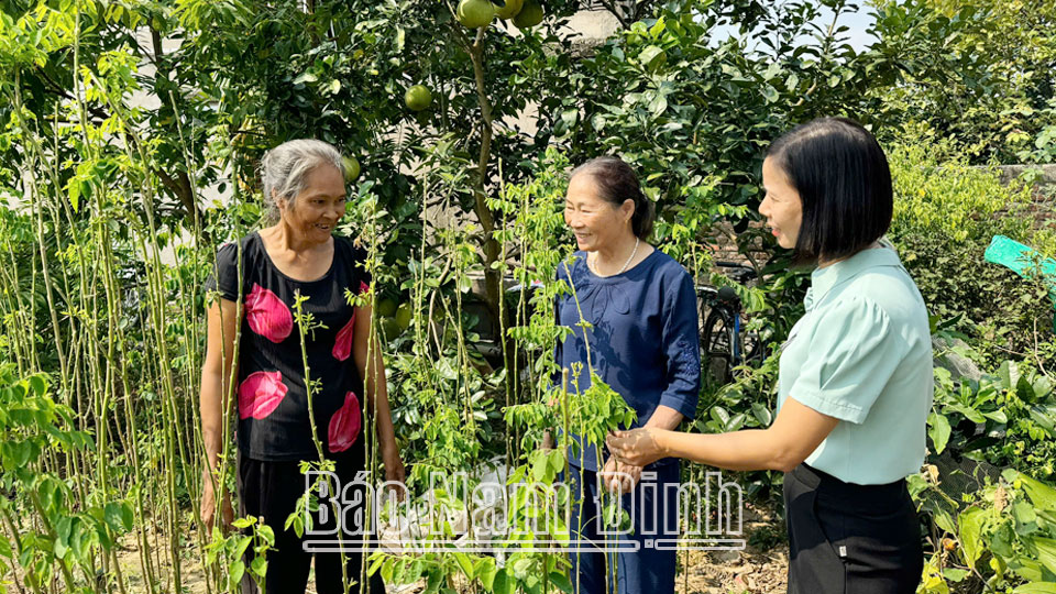 Nam Hồng hỗ trợ hội viên phụ nữ phát triển kinh tế