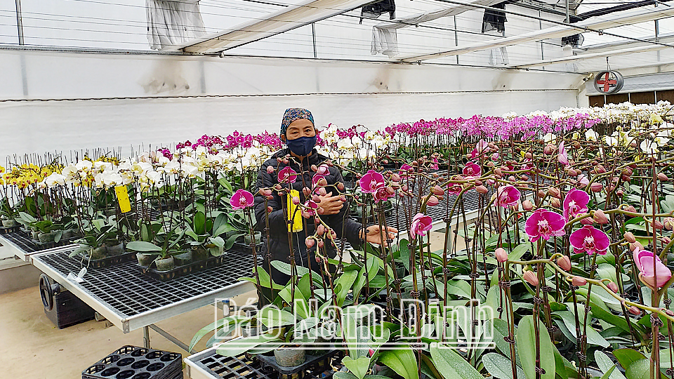 Các hợp tác xã gắn sản xuất với bảo vệ môi trường