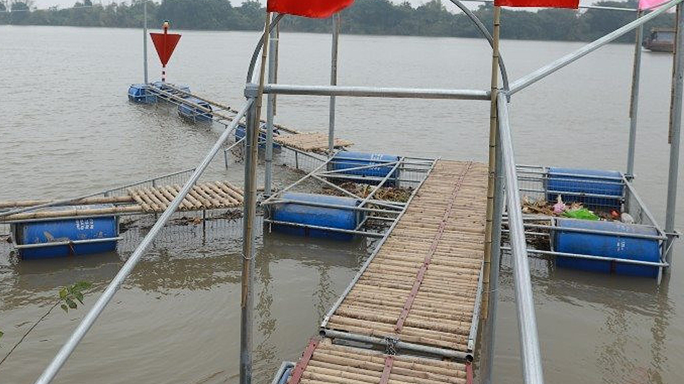 Hạ thủy bẫy rác trên sông Hồng địa phận xã Nam Thắng