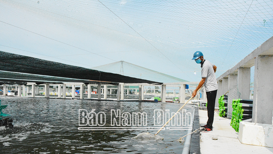 Áp dụng các mô hình nuôi thủy sản thích ứng với biến đổi khí hậu