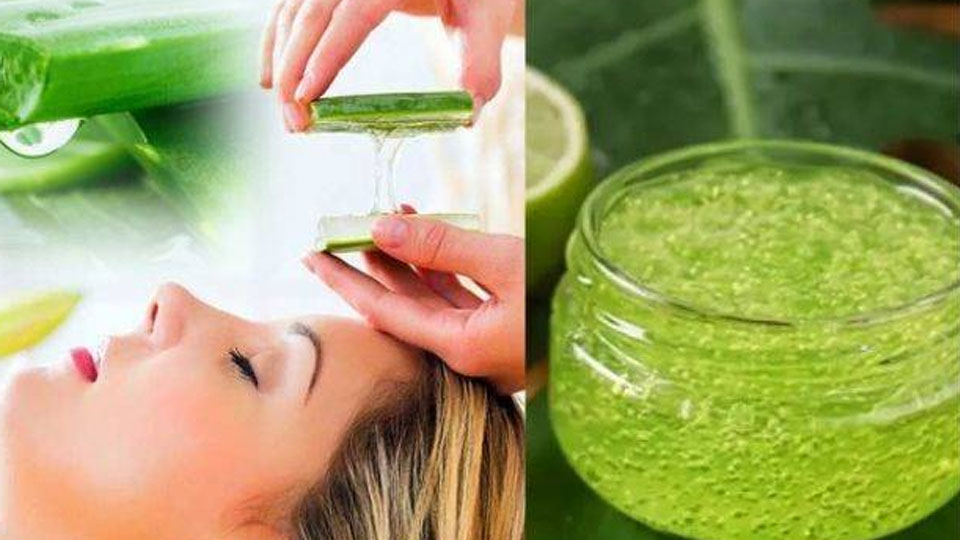 9 loại thảo mộc giúp kích thích mọc tóc