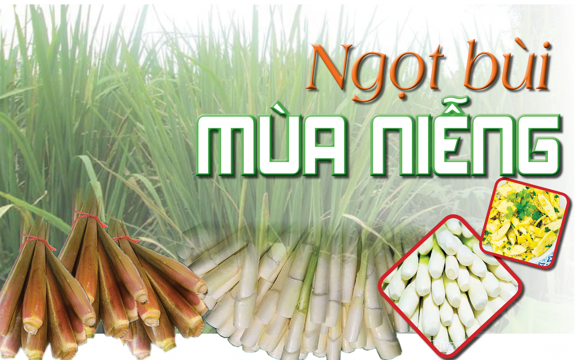 Ngọt bùi mùa niễng