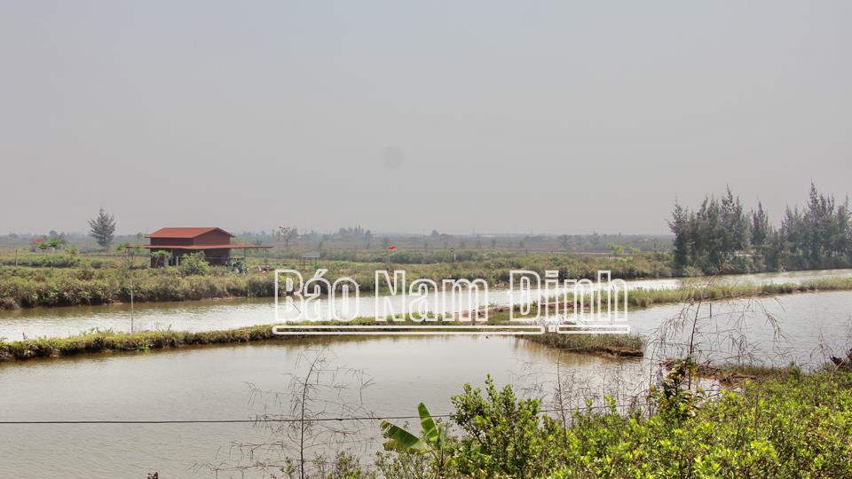 Thông báo về việc di dời tài sản, chấm dứt hoạt động nuôi thủy sản tại khu vực Cồn Xanh