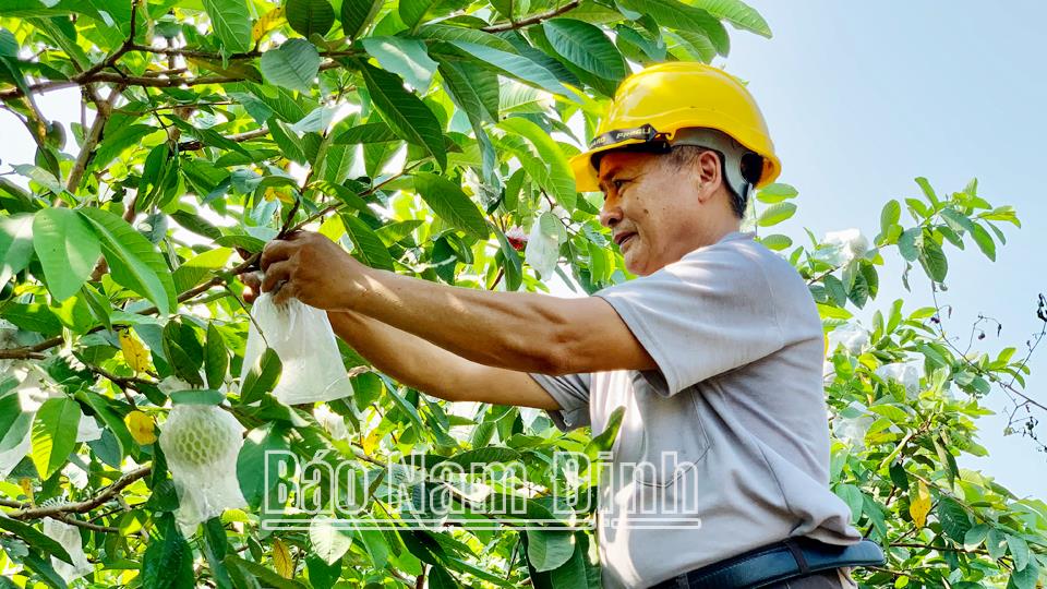 Tạo thu nhập bền vững cho người dân nông thôn