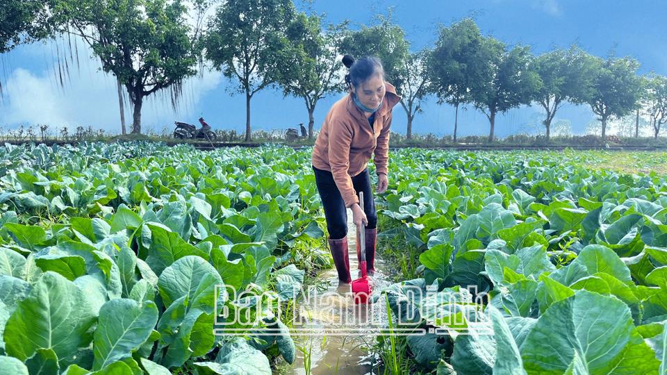 Khoa học và Công nghệ - Động lực thúc đẩy phát triển nông nghiệp bền vững: Kỳ II -  Giải pháp căn cơ, toàn diện