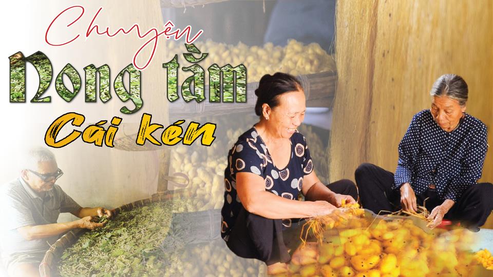 Chuyện nong tằm cái kén