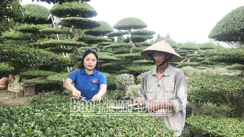 Nâng cao chất lượng dạy nghềcho lao động nông thôn