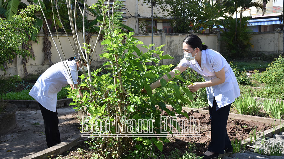 Phát triển y dược cổ truyền đáp ứng yêu cầu chăm sóc sức khỏe nhân dân