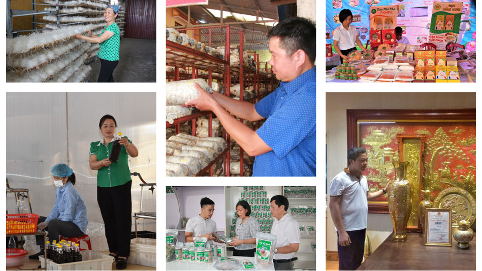 Ấn tượng sản phẩm OCOP