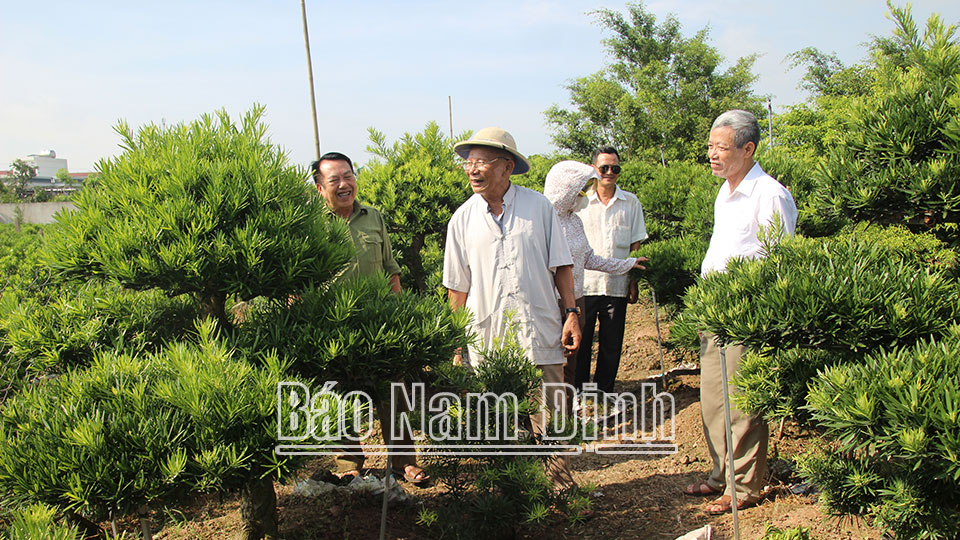 Người cao tuổi năng độngphát triển kinh tế