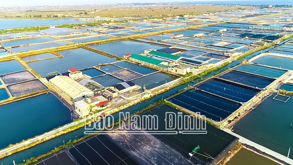 Tạo đột phá trong phát triểnhoạt động khoa học và công nghệ cơ sở - Kỳ II: Nhiều vướng mắc, bất cập