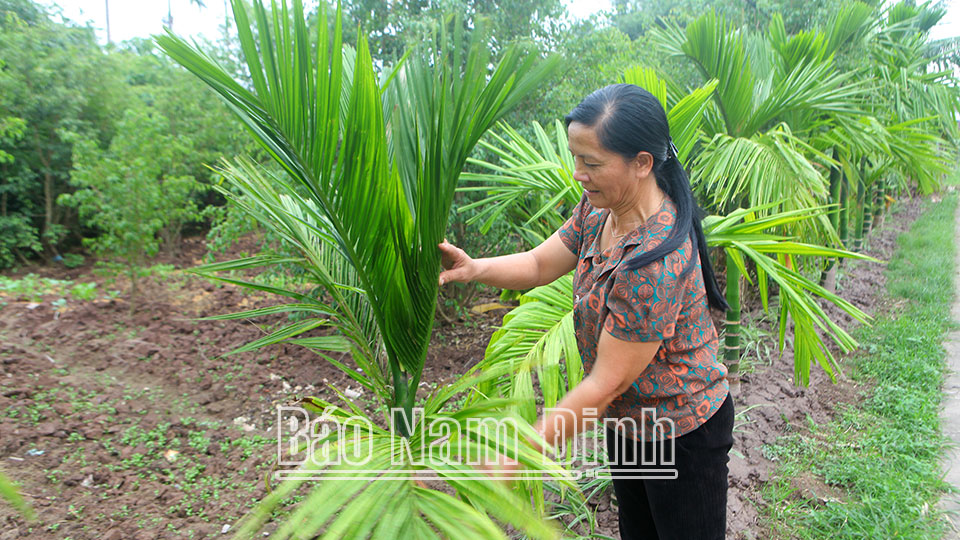 Vốn chính sách hỗ trợ người nghèophát triển kinh tế ở Hải Đông