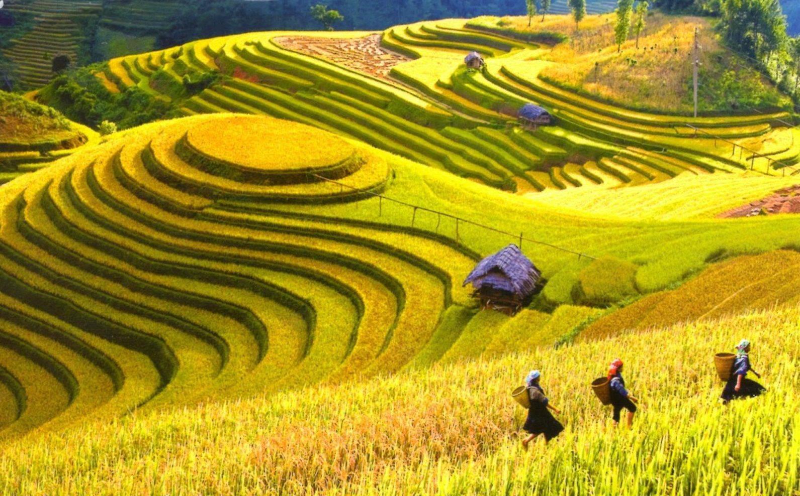 Những cơn gió thênh thang