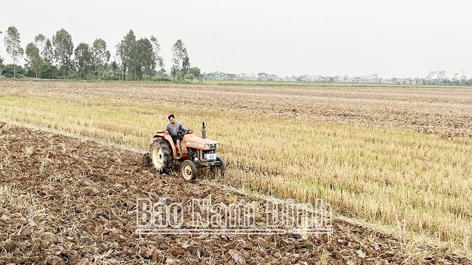 Đẩy nhanh tiến độ cày lật đất, phơi ải