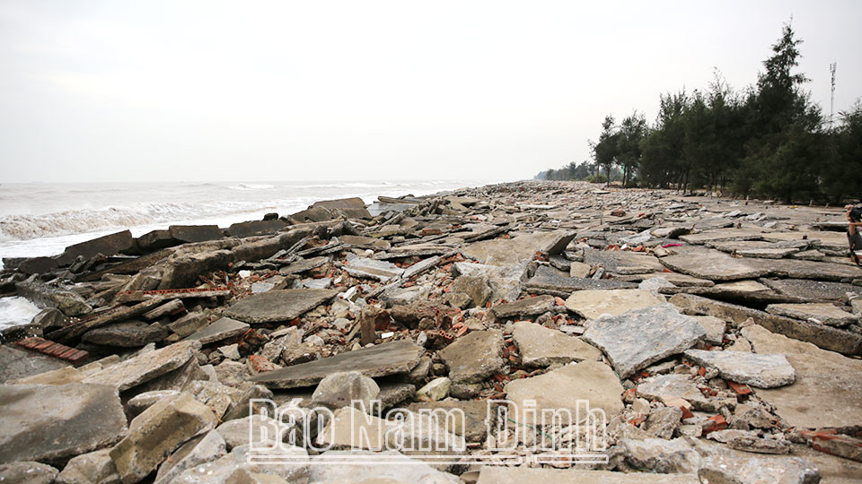 Bảo đảm tiến độ thực hiện các dự án xây dựng nâng cấp một số đoạn đê, kè trên địa bàn tỉnh