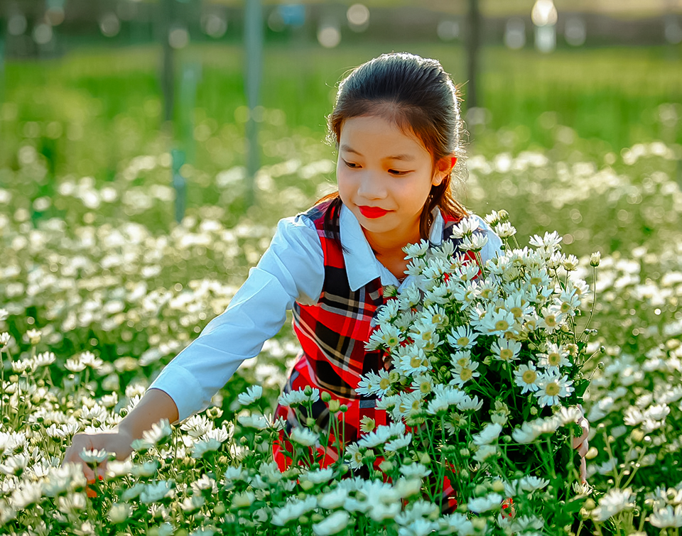 Làng hoa gọi Xuân về