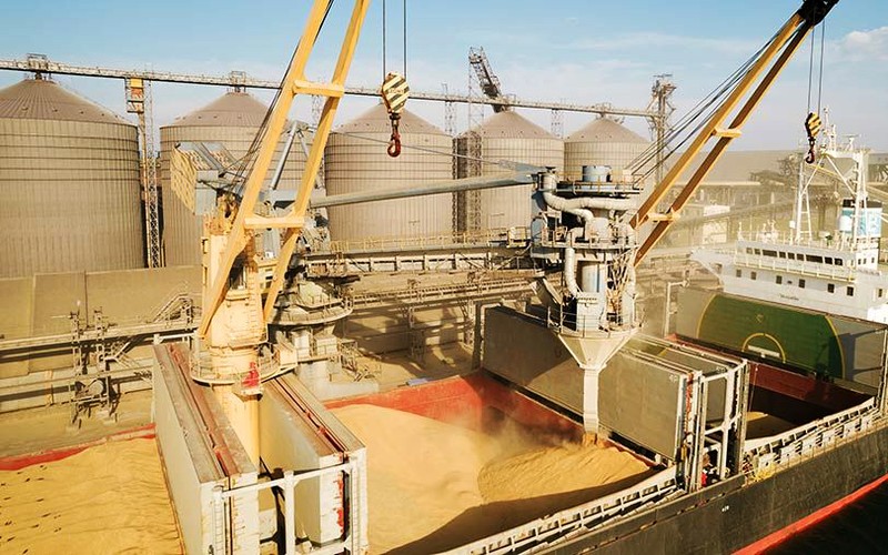 Ukraine và Ba Lan thảo luận về xuất khẩu ngũ cốc