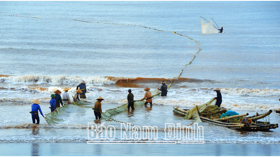 Ngành thủy sản nỗ lực vượt khó