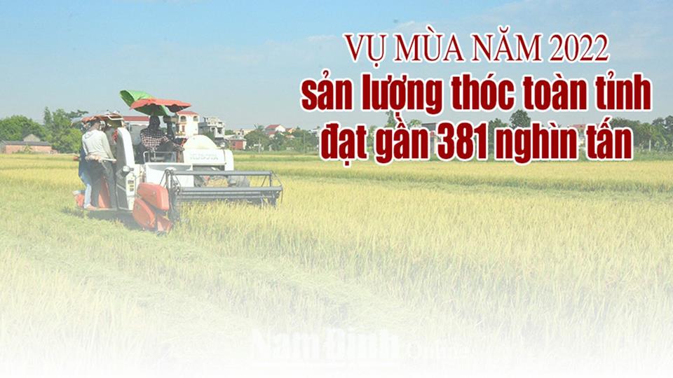 Vụ mùa năm 2022: Sản lượng thóc toàn tỉnh đạt gần 381 nghìn tấn