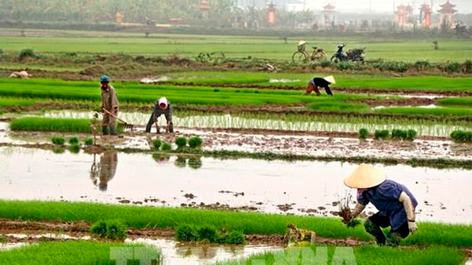 12 ngày lấy nước cho vụ Đông Xuân khu vực trung du và đồng bằng Bắc Bộ