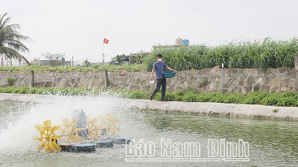 Đảng bộ xã Giao Hải xây dựng tổ chức cơ sở đảng trong sạch vững mạnh