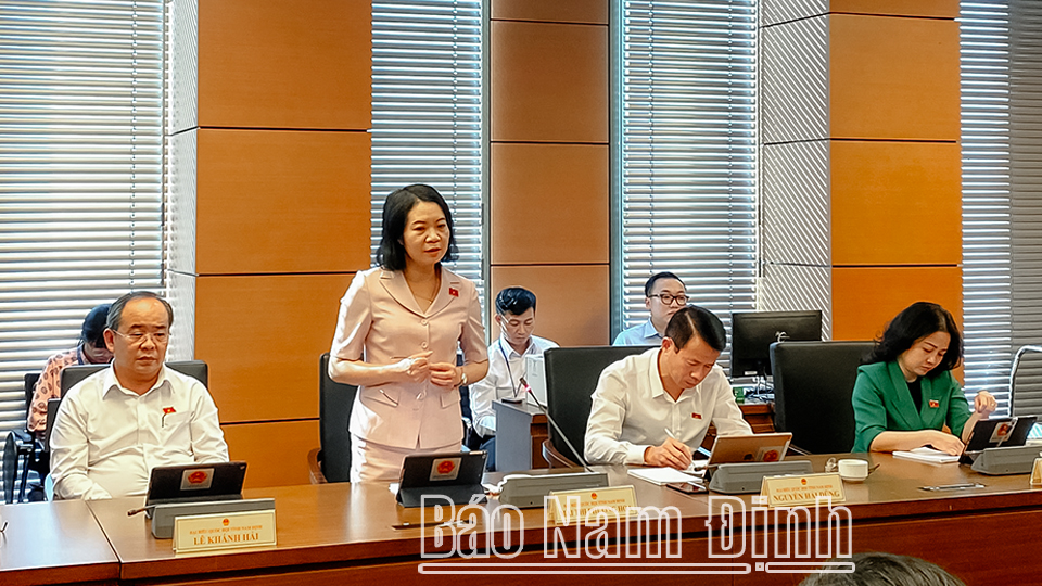 Đoàn đại biểu Quốc hội tỉnh tích cực, trách nhiệm tham gia các kỳ họp