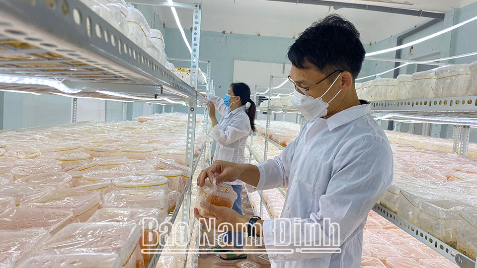 Hoạt động khoa học và công nghệ - Những “gam màu” tươi sáng