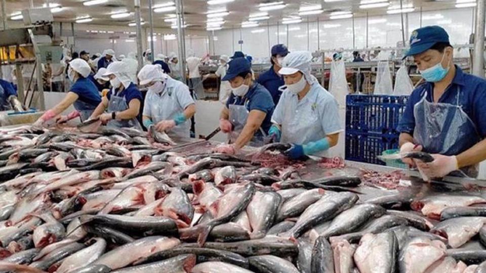 Xuất khẩu thủy sản tăng trưởng dương sau nhiều tháng liên tục âm