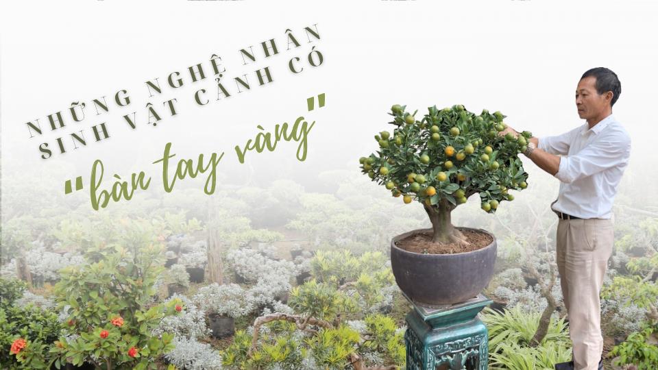 Những nghệ nhân sinh vật cảnh có “bàn tay vàng”