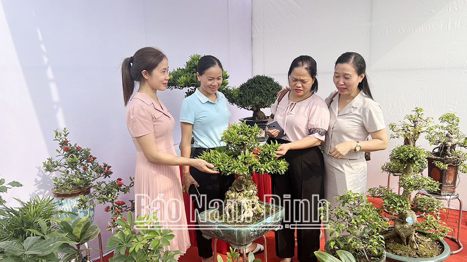 Các mô hình hỗ trợ hội viên phụ nữphát triển kinh tế hiệu quả