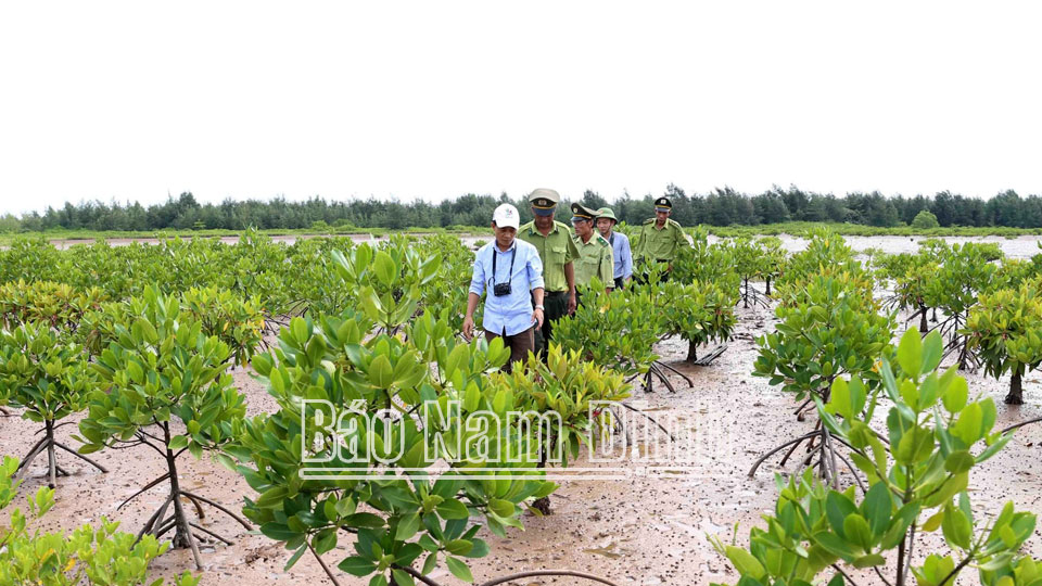 Ứng dụng khoa học và công nghệ trong quản lý, bảo vệ rừng