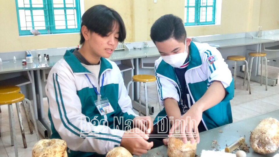 Kinh nghiệm tổ chứcgiáo dục STEM ở Nam Trực