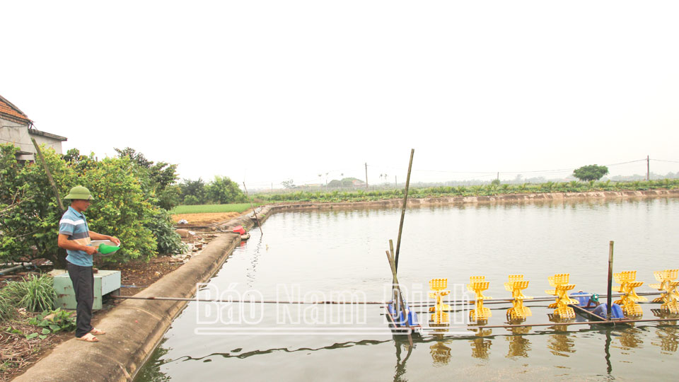 Quan tâm chăm lo đời sống hội viên nông dân