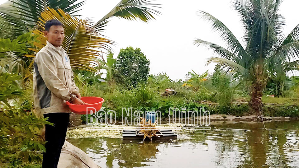 Yên Khánh phát triểnnuôi thủy sản nội đồng