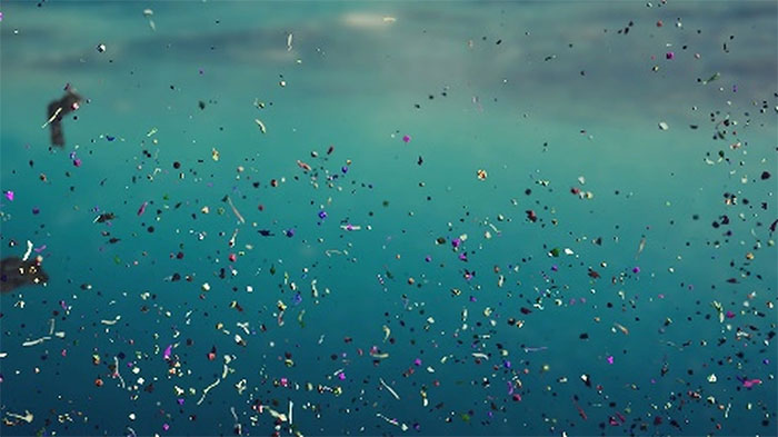 Phát minh nhựa phân hủy sinh học mới không để lại vi nhựa