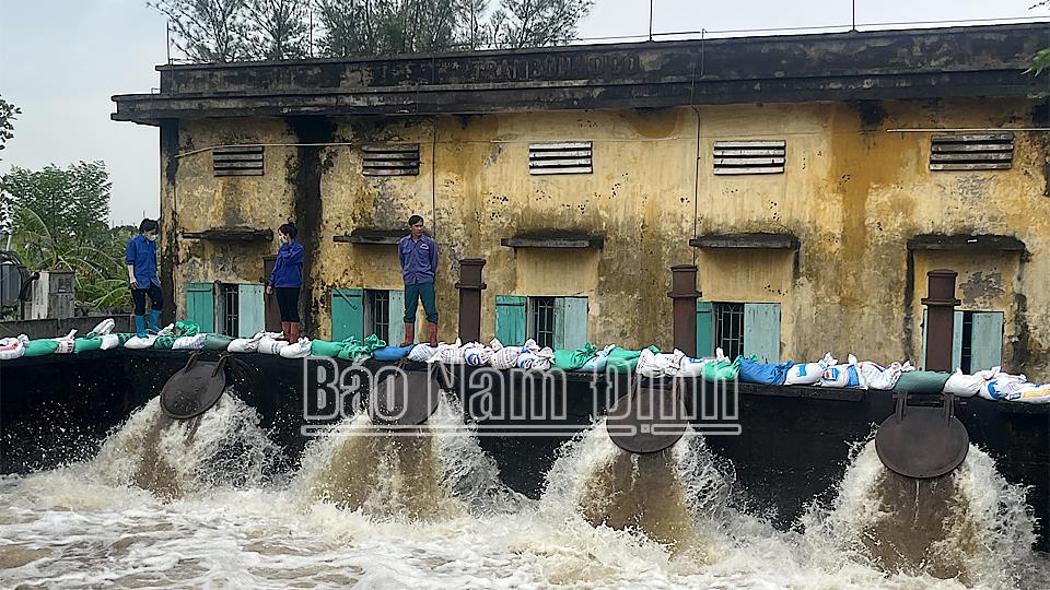 Chủ động ứng phó hạn hán, thiếu nước, xâm nhập mặn mùa khô 2025