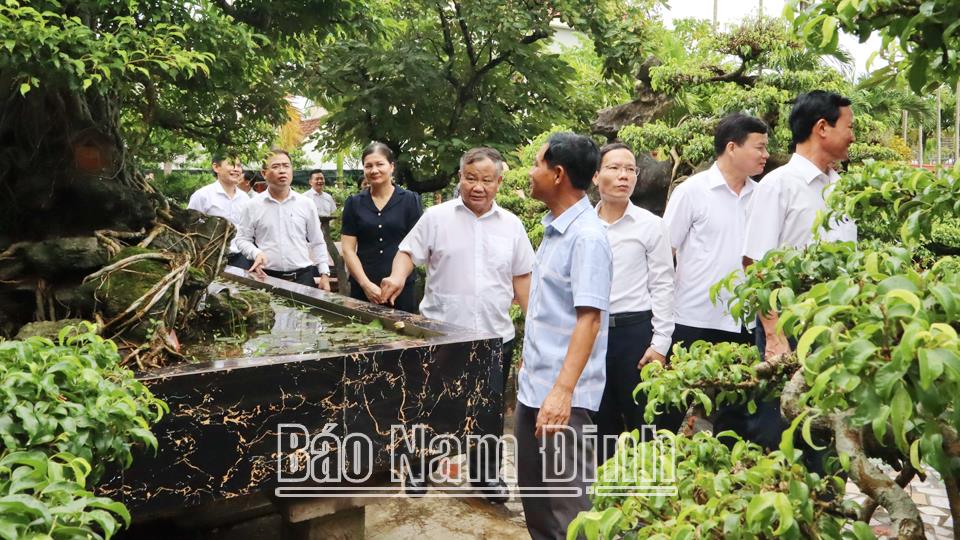 Nông dân Trực Ninhthi đua sản xuất, kinh doanh giỏi