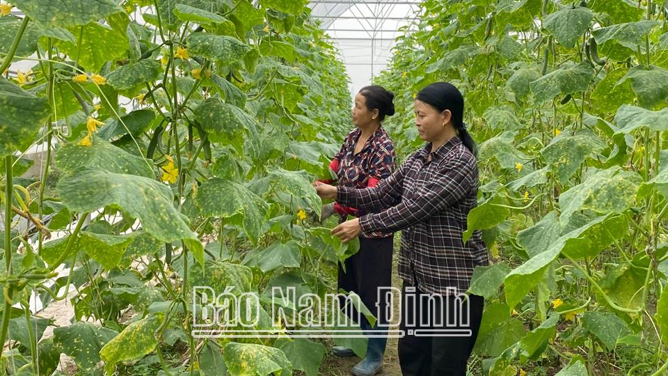 Đẩy mạnh kết nối, chuyển giao ứng dụngkhoa học và công nghệ trong lĩnh vực nông nghiệp