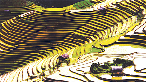 Tuần Văn hóa - du lịch ruộng bậc thang Mù Cang Chải 2014