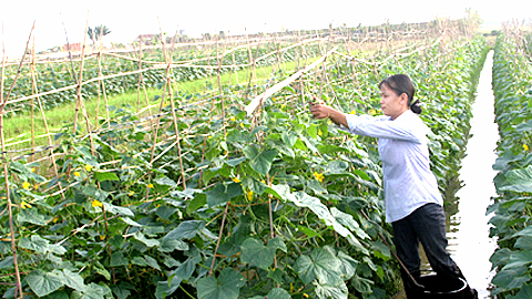 Dự báo thời tiết, thủy văn đêm 22-9-2014 ngày 23-9-2014 tỉnh Nam Định