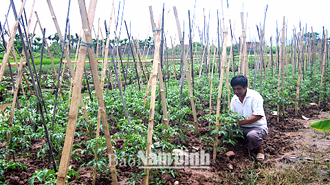 Dự báo thời tiết, thủy văn đêm 24-9-2014 ngày 25-9-2014 tỉnh Nam Định