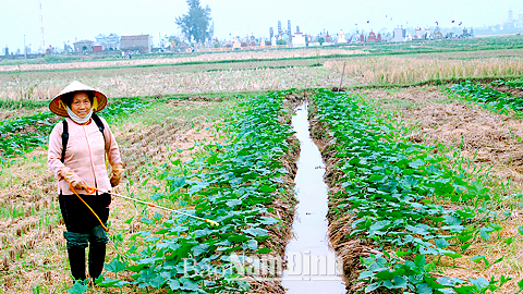 Dự báo thời tiết, thủy văn đêm 20-10-2014 ngày 21-10-2014 tỉnh Nam Định