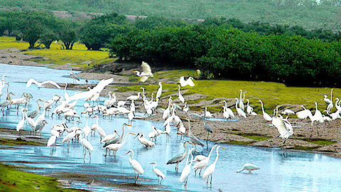 Dự báo thời tiết, thủy văn đêm 30-10-2014 ngày 31-10-2014 tỉnh Nam Định