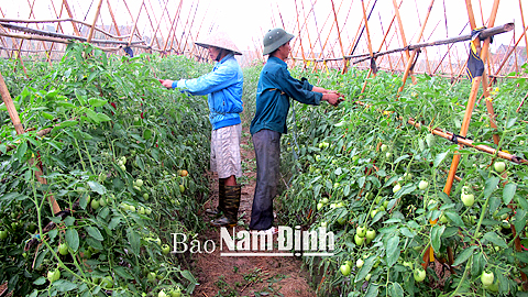 Dự báo thời tiết, thủy văn đêm 8-1-2015 ngày 9-1-2015 tỉnh Nam Định