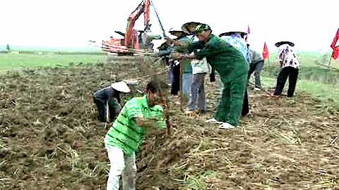 Bảo đảm đủ nước cho sản xuất vụ đông xuân 2014-2015