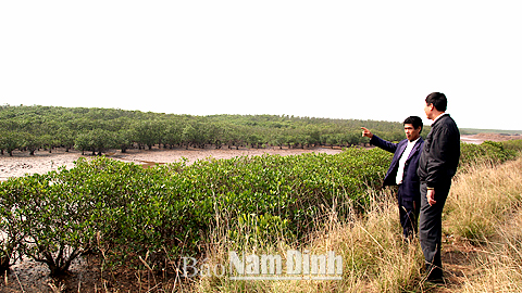 Dự báo thời tiết, thủy văn đêm 2-2-2015 ngày 3-2-2015 tỉnh Nam Định