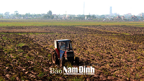 Sẵn sàng cho vụ lúa xuân năm 2015