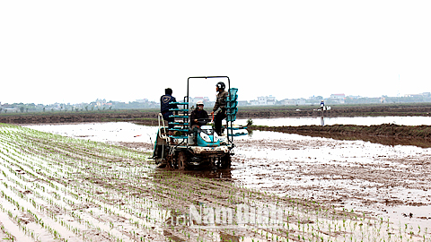 Dự báo thời tiết, thủy văn đêm 31-3-2015 ngày 1-4-2015 tỉnh Nam Định