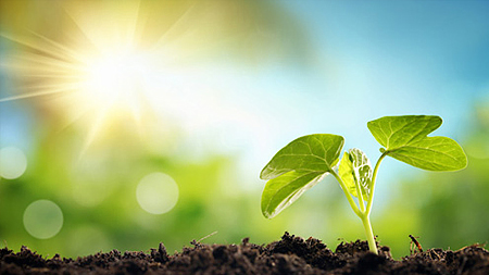 Biến năng lượng Mặt Trời thành nhiên liệu lỏng