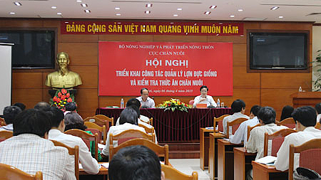 Đẩy mạnh công tác quản lý lợn đực giống và kiểm tra thức ăn chăn nuôi